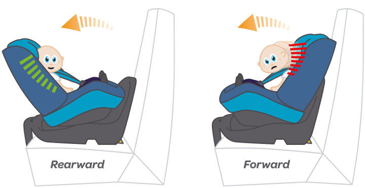 Baby illustration in forward and rearward facing car seat positions Baby illustration in forward and rearward facing car seat positions